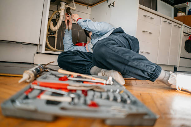 Best Plumbing Inspection Services  in Williamstown, KY