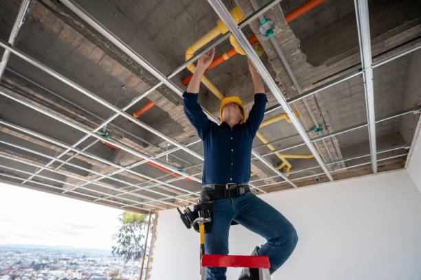 Best Plumbing Services Near Me  in Williamstown, KY