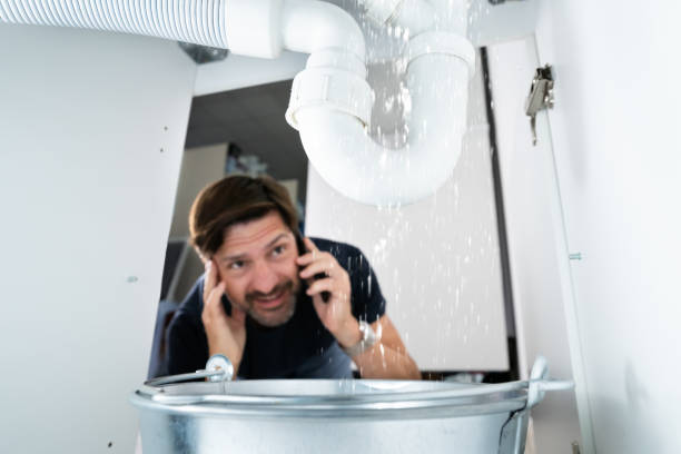 Best Gas Line Repair  in Williamstown, KY